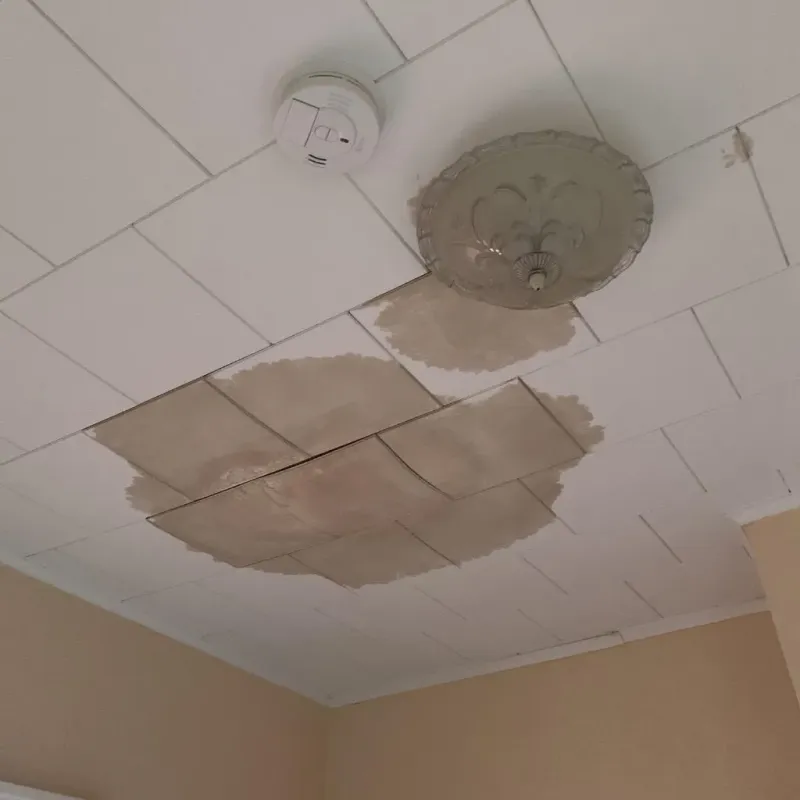 Ceiling Water Damage Repair in Blue Earth County, MN
