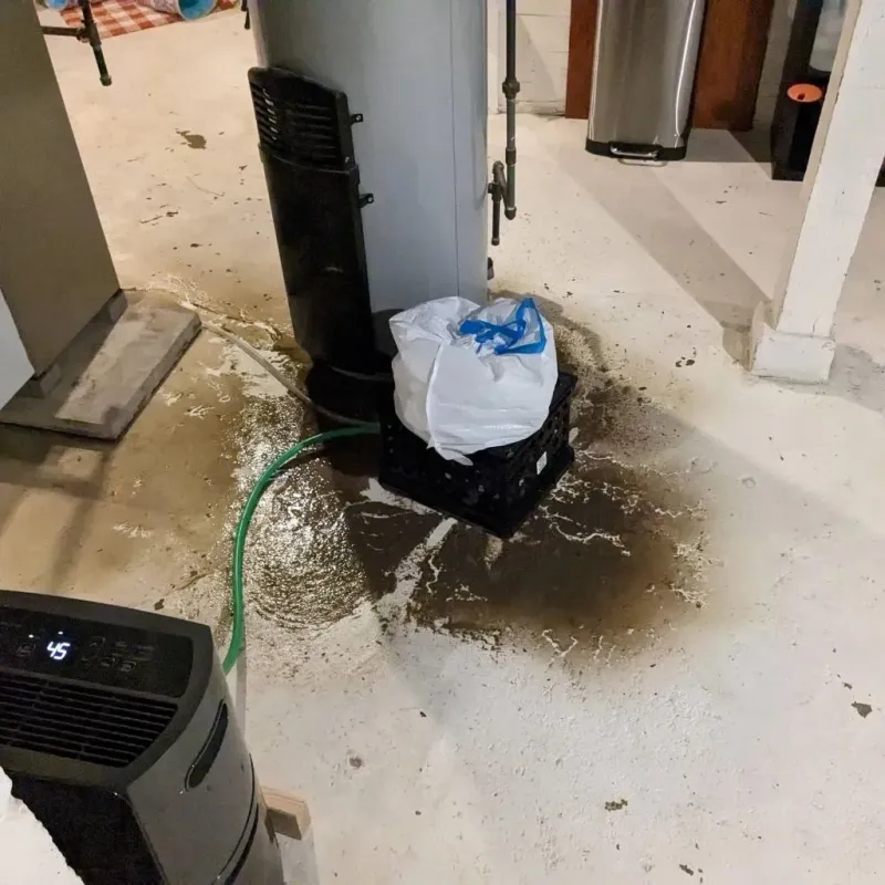 Sewage Backup Cleanup Service in Blue Earth County, MN